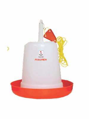 CHICK FEEDER