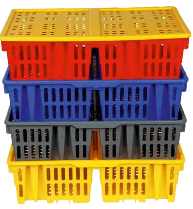 CHICK TRANSPORT BOX.NO.OF CHICKS BOX-100(DIMENSION LXBXH 670X500X145MM)